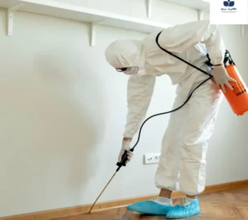 افضل طريقة لتنظيف الجدران