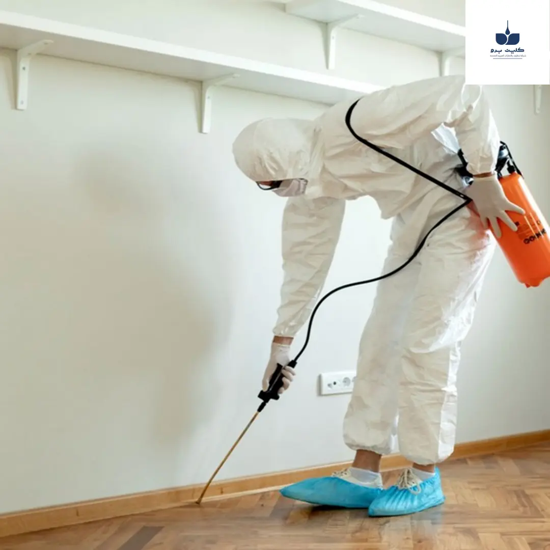 افضل طريقة لتنظيف الجدران