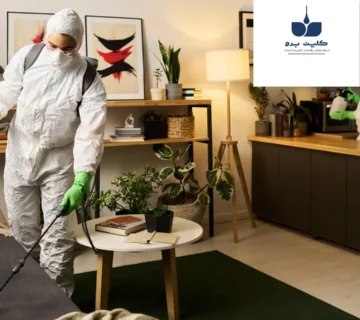 ازالة الحشرات من المنزل
