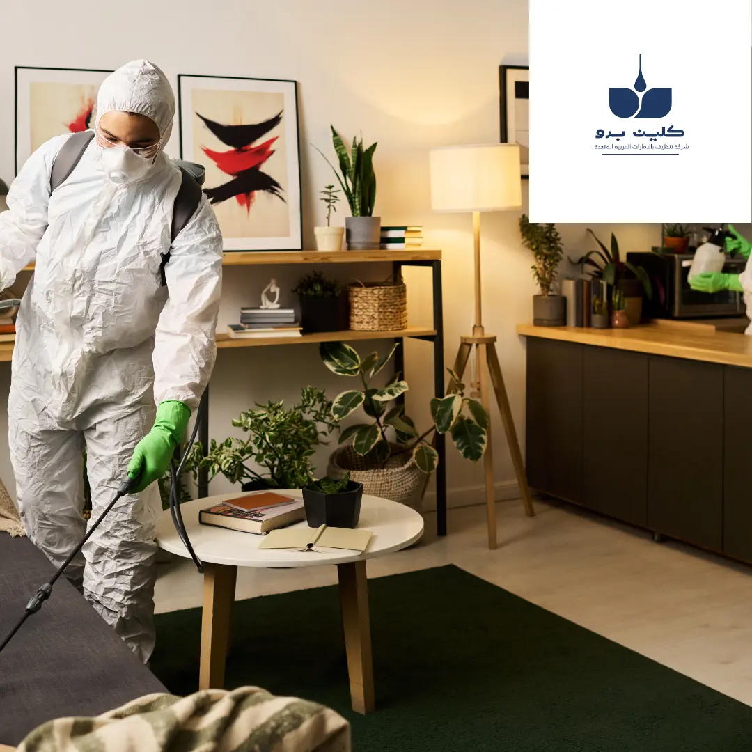 ازالة الحشرات من المنزل